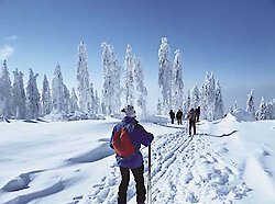 Schneesituation im Bayerischen Wald entspannt sich